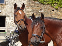CENTRE EQUESTRE DE LA MONE 